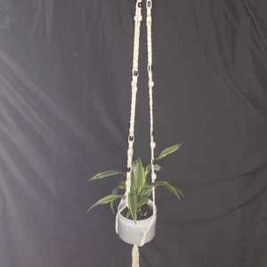 Handmade Macrame Plant Hanger
